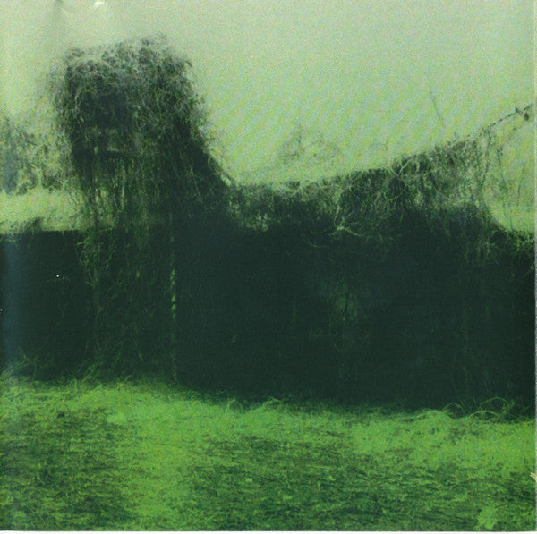 Shenandoah : Under The Kudzu (CD, Album, Club)