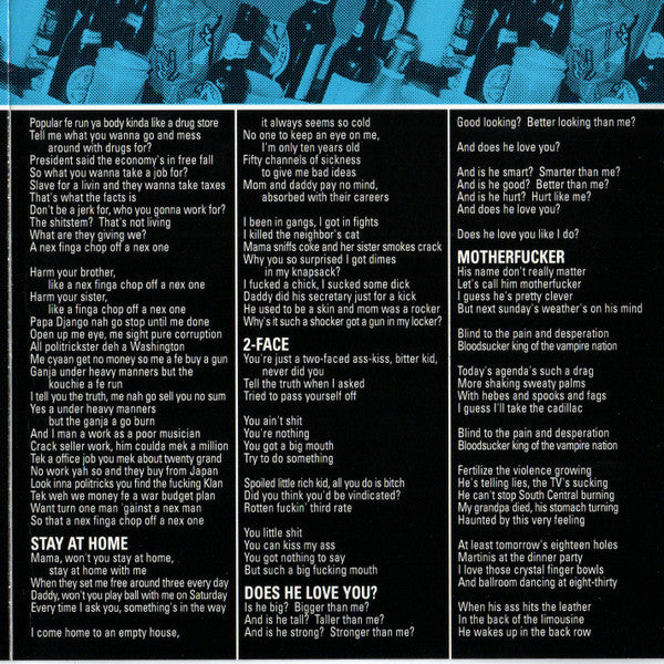 Skinnerbox : What You Can Do, What You Can't (CD, Album)