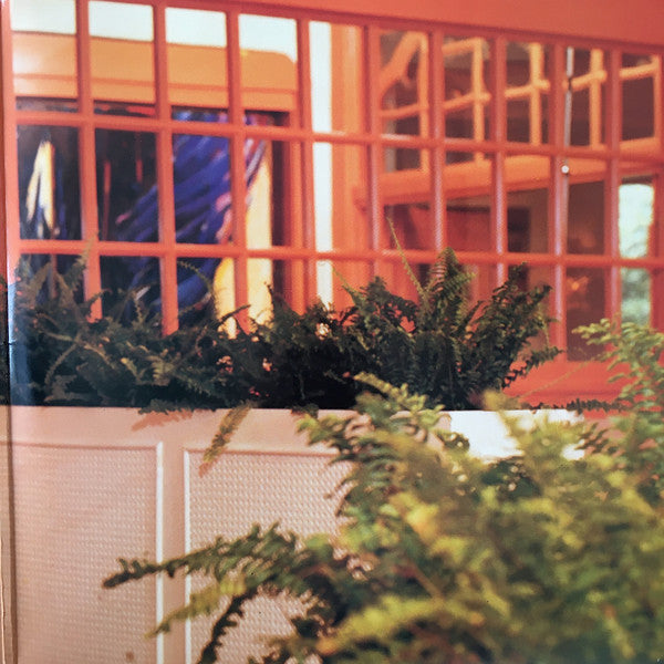 Anita Meyer : Anita Meyer (LP, Album, Comp, Gat)