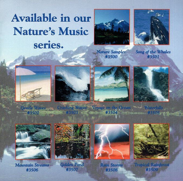 Macheis Wind : Song Of The Whales - Sounds Of Nature (CD)