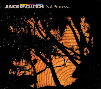 Junior Revolution : It's A Process... (CD, Album)
