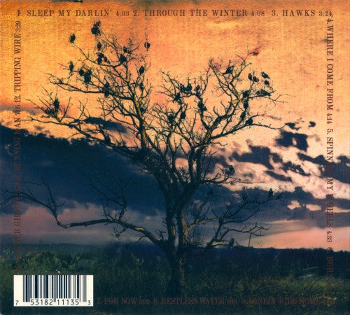 Star Anna & The Laughing Dogs : The Only Thing That Matters (CD, Album, Dig)