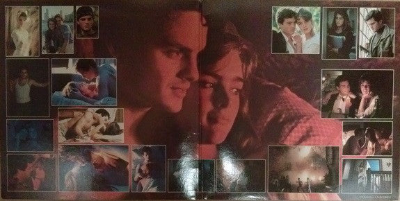 Various - Endless Love / Original Motion Picture Soundtrack (LP) (VG+) - Endless Media
