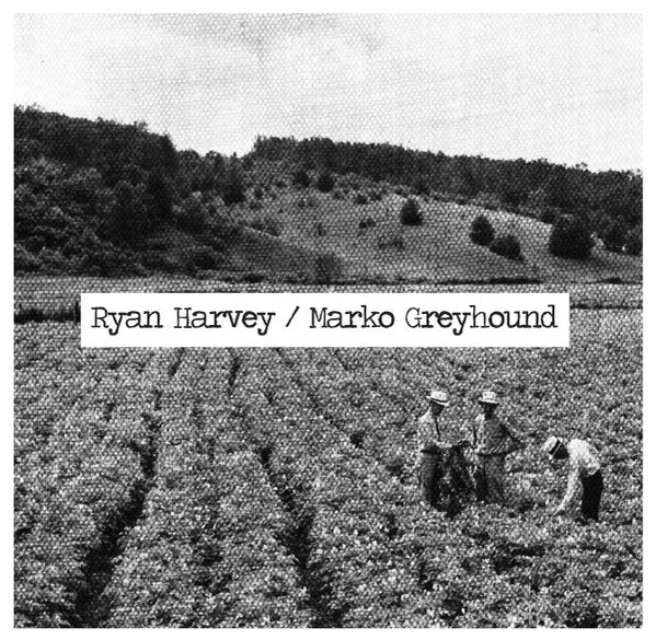 Ryan Harvey, Marko Greyhound : Split (Cass, EP, Num, spl)