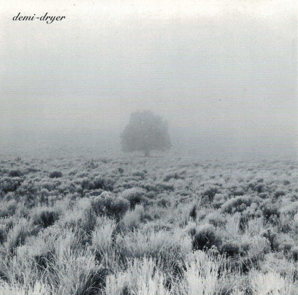 Demi-Dryer - Empty Space (CD) (VG) - Endless Media