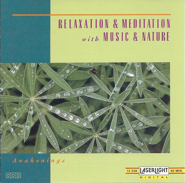 David Miles Huber - Awakenings (CD) (VG) - Endless Media