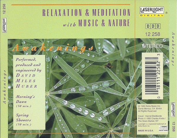 David Miles Huber - Awakenings (CD) (VG) - Endless Media