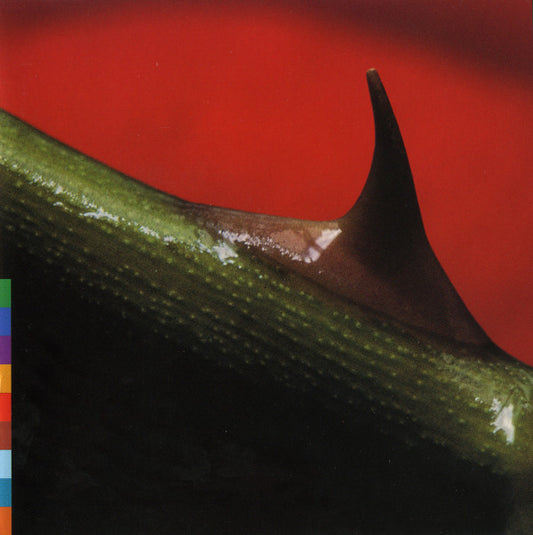 Nusrat Fateh Ali Khan & Michael Brook - Night Song (CD) (VG) - Endless Media