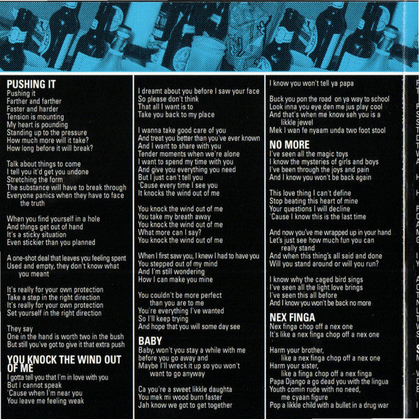 Skinnerbox : What You Can Do, What You Can't (CD, Album)