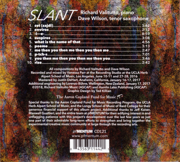 Richard Valitutto & Dave Wilson (30) : Slant (CD, Album)