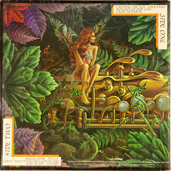 Spyro Gyra - Catching The Sun (LP) (VG+) - Endless Media