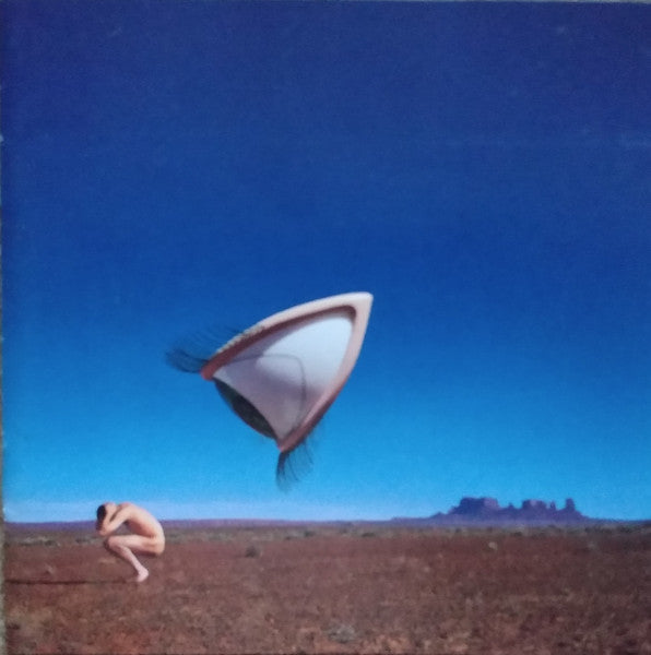 The Cranberries : Bury The Hatchet (CD, Album, Club)