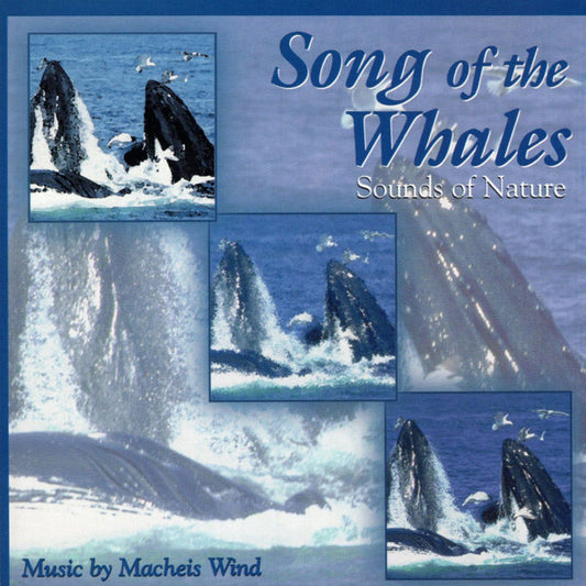 Macheis Wind : Song Of The Whales - Sounds Of Nature (CD)