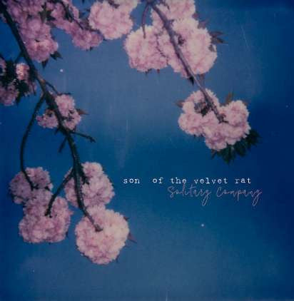 Son Of The Velvet Rat : Solitary Company (CD, Album)