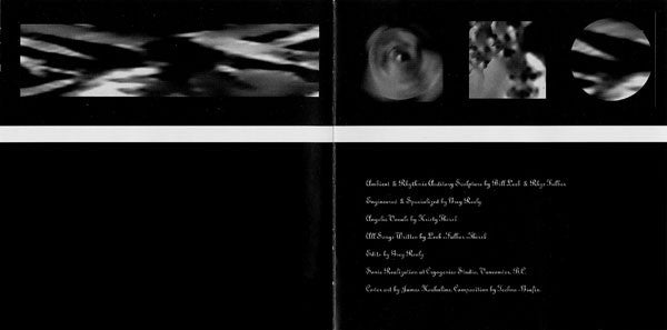 Delerium : Flowers Become Screens (CD, Single)