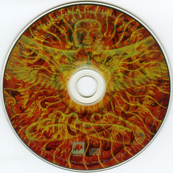 Michael Hedges : Torched (CD, Album)