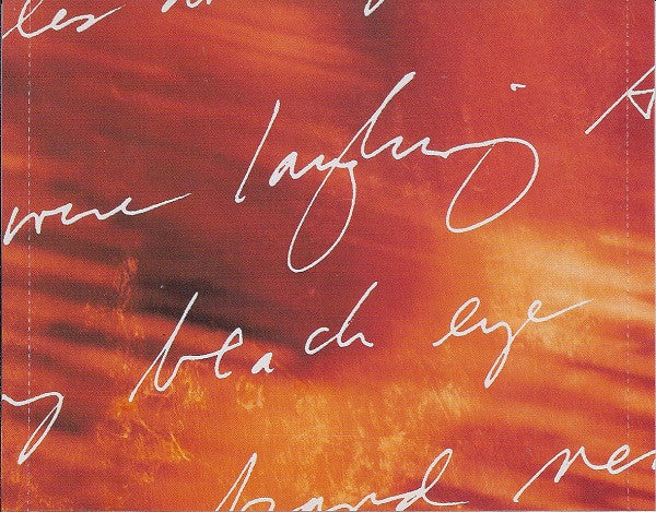 Patty Larkin : Strangers World (CD, Album)