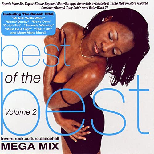 Various : Best Of The Best Volume 2 (CD, Comp)