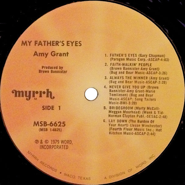 Amy Grant - My Father's Eyes (LP) (G+) - Endless Media