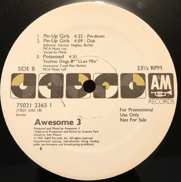 Awesome 3 : Possessed / Pin-Up Girls (12", Promo)