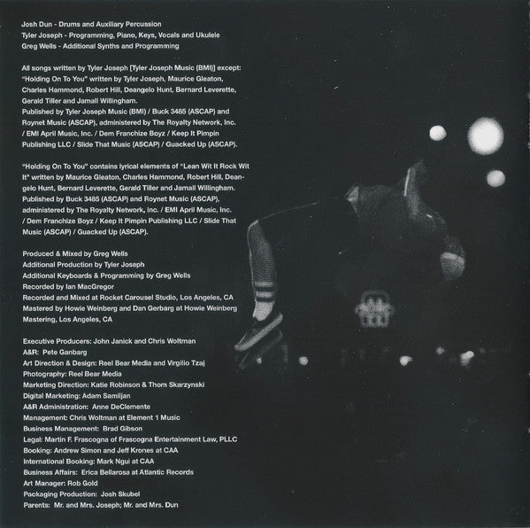 Twenty One Pilots : Vessel (CD, Album)