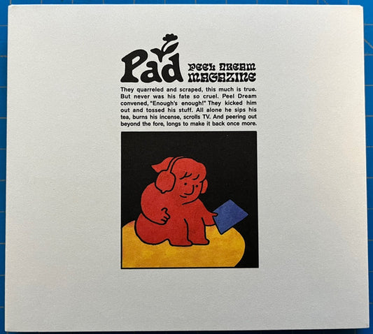 Peel Dream Magazine : Pad (CD, Album)