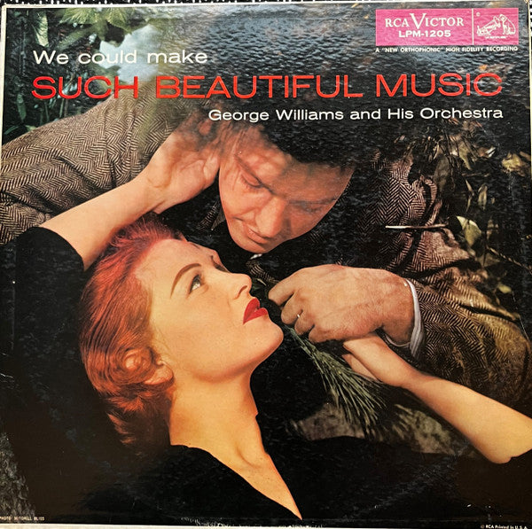 George Williams And His Orchestra - We Could Make Such Beautiful Music (LP) (VG+) - Endless Media