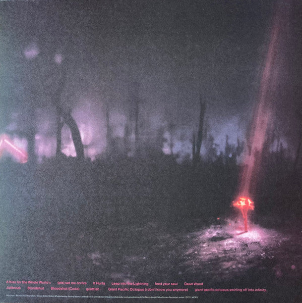 Enter Shikari : A Kiss For The Whole World (LP, Album, Ltd, Sun)