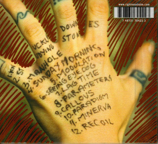 Ani DiFranco : Knuckle Down (CD, Album)