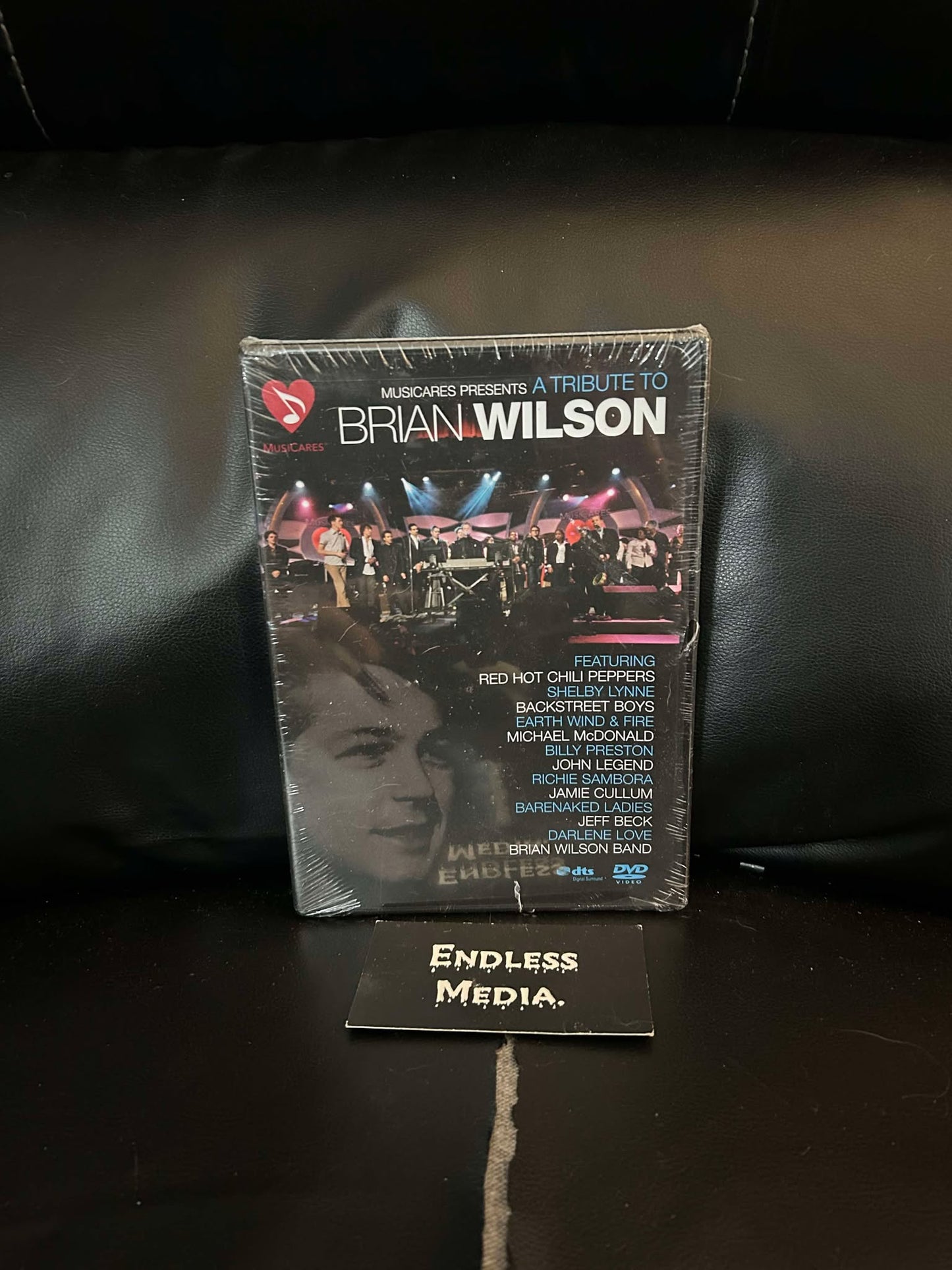 Various - Musicares Presents A Tribute To Brian Wilson (DVD) (M)