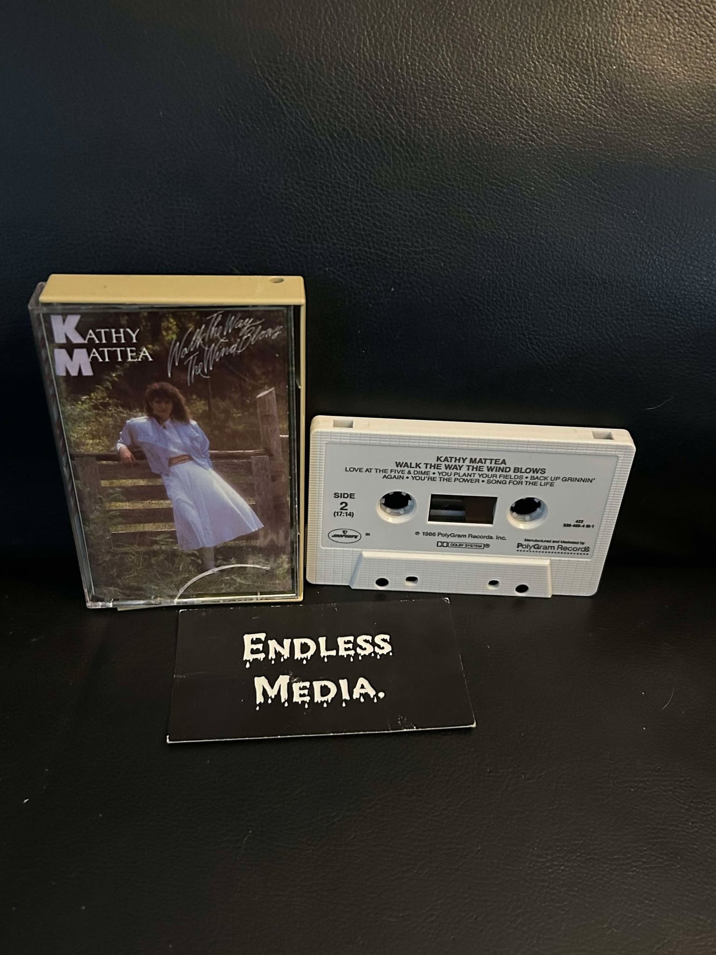 Kathy Mattea - Walk The Way The Wind Blows (Cassette) (VG+)