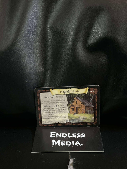 Hagrid's House 12/80 Harry Potter TCG Trading Card LP