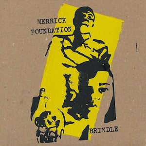 Merrick Foundation / Brindle - Split (7") (VG+) - Endless Media