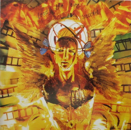Toad The Wet Sprocket : Fear (CD, Album, RP)