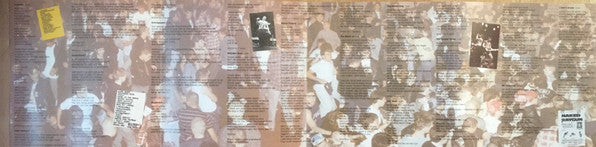 Naked Raygun : Understand? (CD, Album, RE)