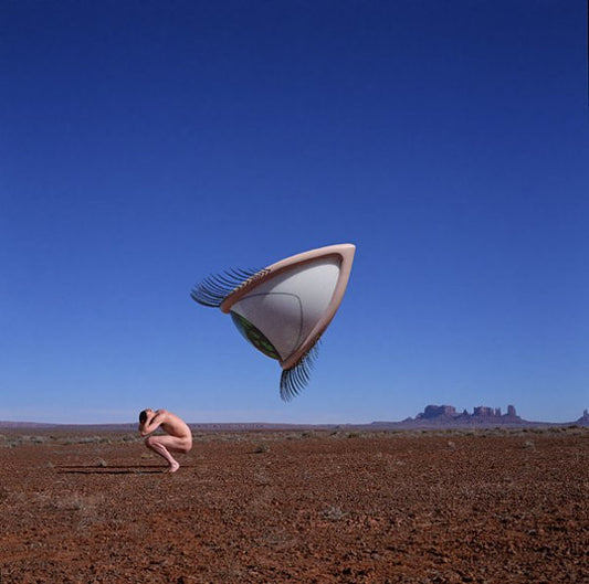 The Cranberries : Bury The Hatchet (CD, Album)