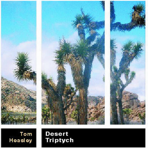 Tom Heasley : Desert Triptych (CD, Album)
