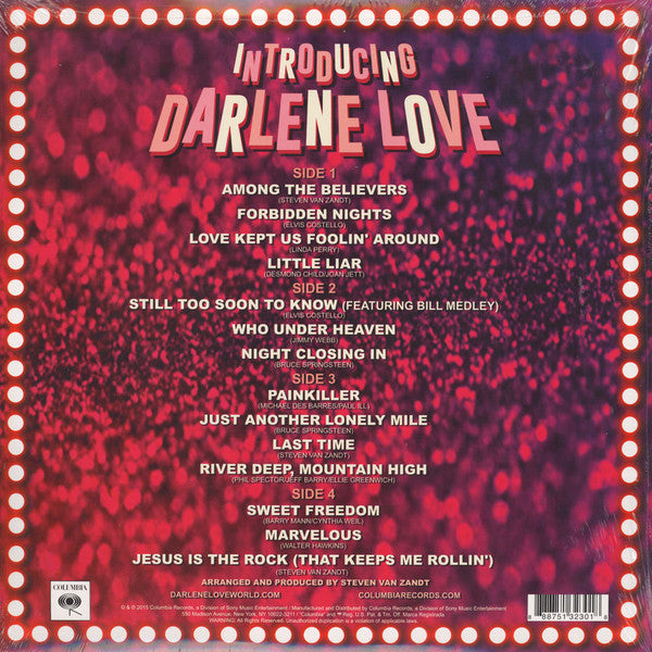 Darlene Love : Introducing Darlene Love (2xLP, Album)