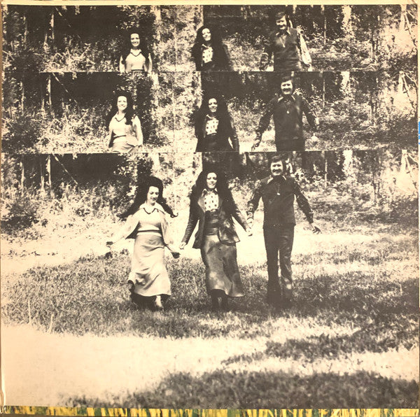 The Rambos : Sonshine (LP, Album)