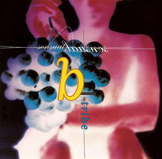 B-Tribe - Sensual Sensual (CD) (VG) - Endless Media