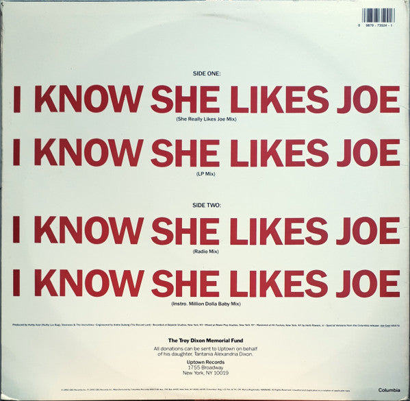 Joeski Love : I Know She Likes Joe (12")