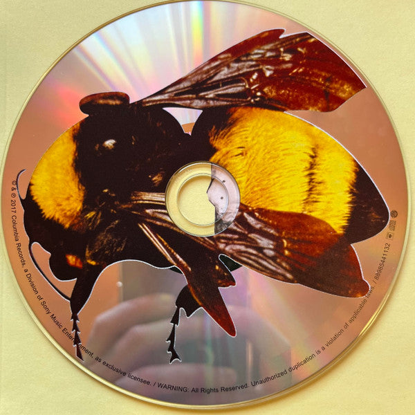 Tyler, The Creator - Scum Fuck Flower Boy (CD) (M) - Endless Media