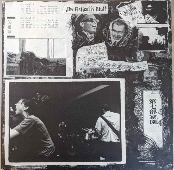 The Fisticuffs Bluff - The Fisticuffs Bluff (LP) (VG) - Endless Media