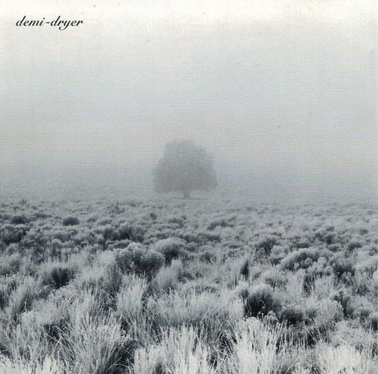 Demi-Dryer - Empty Space (CD) (VG) - Endless Media