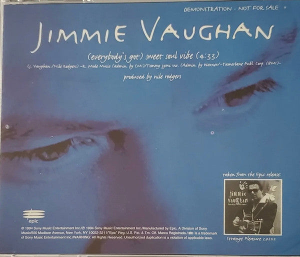 Jimmie Vaughan - (Everybody's Got) Sweet Soul Vibe (CD) (VG) - Endless Media