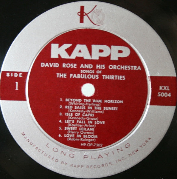 David Rose & His Orchestra - Songs Of The Fabulous Thirties (2xLP) (G+) - Endless Media