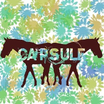 Capsule  - Capsule (LP) (VG+) - Endless Media