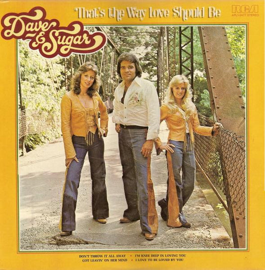 Dave And Sugar - That's The Way Love Should Be (LP) (VG+) - Endless Media