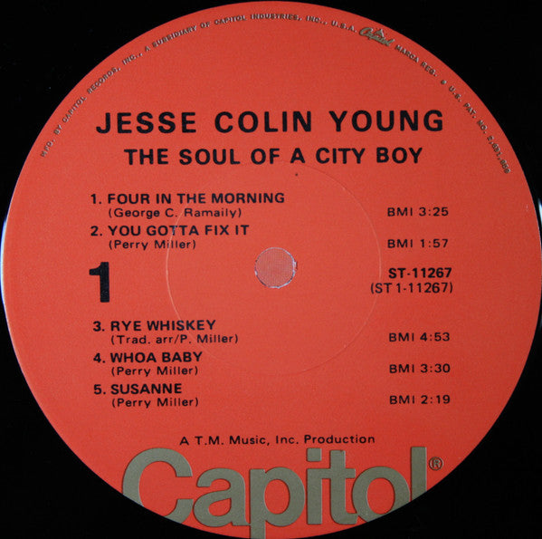 Jesse Colin Young - The Soul Of A City Boy (LP) (G) - Endless Media