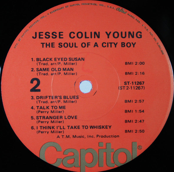 Jesse Colin Young - The Soul Of A City Boy (LP) (G) - Endless Media